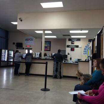 Miami Dade Animal Services - We are early so hopefully not too long of a wait. - Animal Shelters Near Me - Doral, Florida Miami Dade Animal Services - We are early so hopefully not too long of a wait. - Animal Shelters Near Me - Doral, Florida
