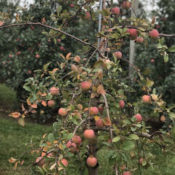Samascott Orchards - Fruits & Veggies Near Me - Kinderhook, New York