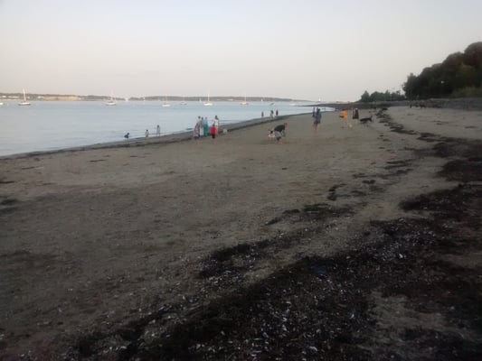 East End Beach by null