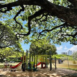 Paki Playground - Playground view