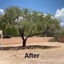 Angel's Landscaping