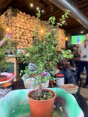 Wild Air Beerworks by null