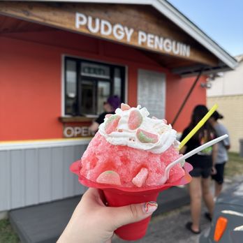 Pudgy Penguin - Cocomelon - Shaved Ice Near Me - North Richland Hills, Texas Pudgy Penguin - Cocomelon - Shaved Ice Near Me - North Richland Hills, Texas