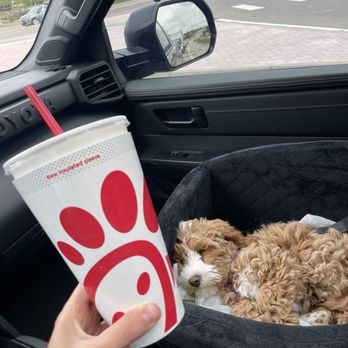Chick-fil-A - Chick-fil-A- Diet Lemonade is the move! - Fast Food Near Me - Arvada, Colorado