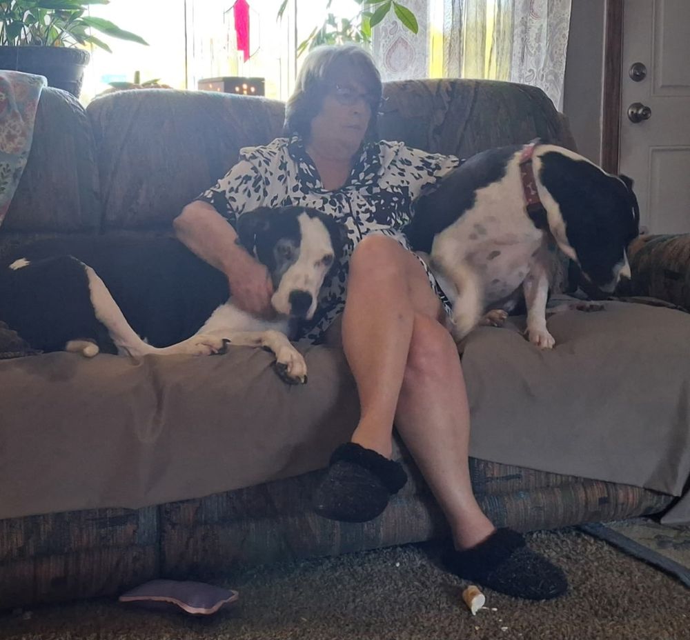 Hound Dog Hotel - pet boarding facility in Haysville, KS
