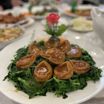 Dong Yue seafood restaurant - Braised whole abalone on a bed of sautéed pea shoots. - Seafood Near Me - Flushing, New York