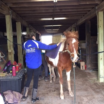 20/20 Horsemanship - Preparing for riding. - Horseback Riding Near Me - Leesburg, Virginia 20/20 Horsemanship - Preparing for riding. - Horseback Riding Near Me - Leesburg, Virginia