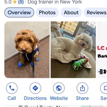 TLC and Treats - Photos on the web. Posted 01/18/26 - Pet Training Near Me - New York, New York TLC and Treats - Photos on the web. Posted 01/18/26 - Pet Training Near Me - New York, New York