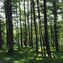 Photo of Parque Natural de las Peñas de Aia