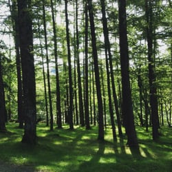 Parque Natural de las Peñas de Aia