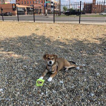 Downtown Dog Park - Dog Parks Near Me - Columbus, Ohio Downtown Dog Park - Dog Parks Near Me - Columbus, Ohio