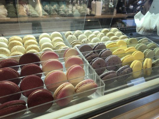 TeaPotBrew Bakery by null