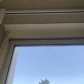 Edgewater - Spider webs, can't really see in photos. - Hotels Near Me - Laughlin, Nevada Edgewater - Spider webs, can't really see in photos. - Hotels Near Me - Laughlin, Nevada