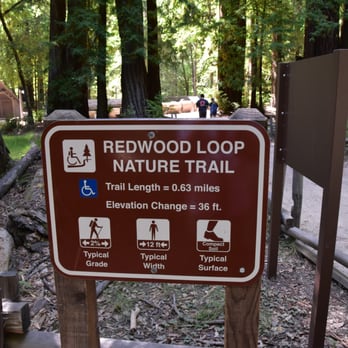Redwood Loop Nature Trail - Hiking Near Me - Boulder Creek, California