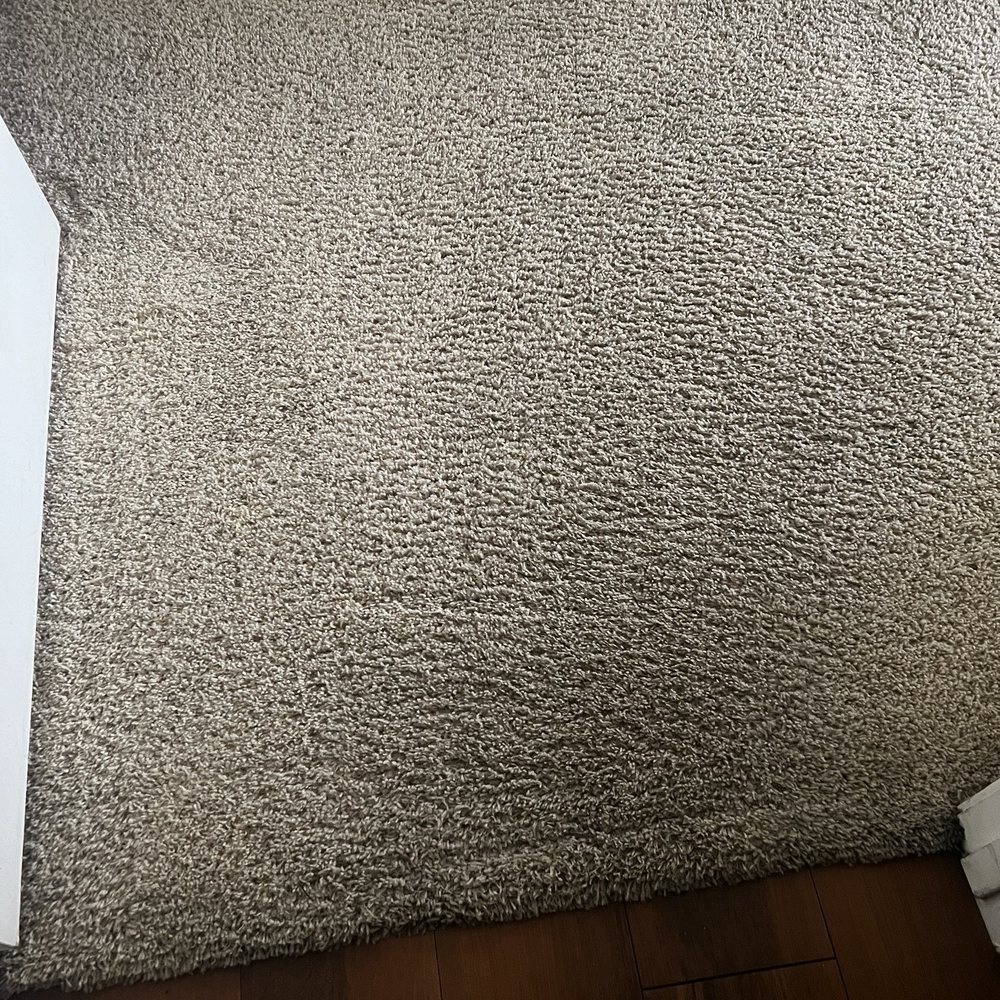 Coconut Cleaning - Entryway - Carpet Cleaning Near Me - Chandler, Arizona Coconut Cleaning - Entryway - Carpet Cleaning Near Me - Chandler, Arizona