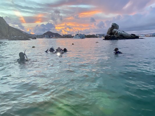 Dive Ninja Expeditions by null