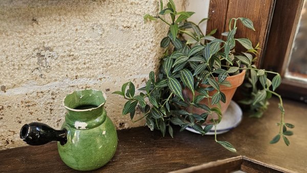 Shakespeare and Company Café by null