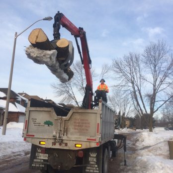 Fisher Tree Services - Tree Services Near Me - Richmond, Ontario Fisher Tree Services - Tree Services Near Me - Richmond, Ontario