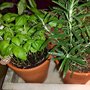 Photo of Vapiano