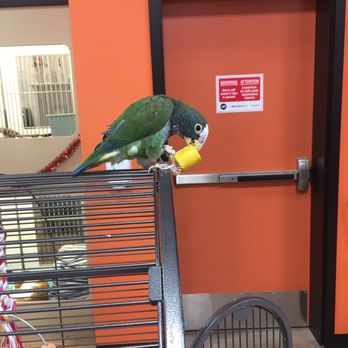 Petland - Pet Stores Near Me - Edmonton, Alberta
