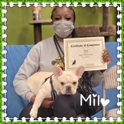 DOG SOUL - Updated December 2025 - 909 Photos & 65 Reviews - 39