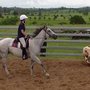 Forest Lake Riding School