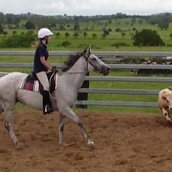 Forest Lake Riding School - Forest Lake Riding School even offers Campdrafting Schools