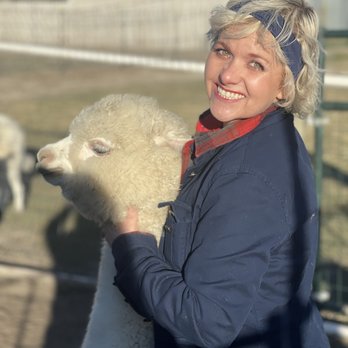 Enchanted Hollow Alpacas - Sir Lancelot (just weened from mom) - Attraction Farms Near Me - Elwood, Utah Enchanted Hollow Alpacas - Sir Lancelot (just weened from mom) - Attraction Farms Near Me - Elwood, Utah