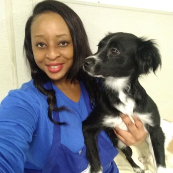 City Dogs - City dogs love my babies - Pet Training Near Me - Washington, DC, District of Columbia City Dogs - City dogs love my babies - Pet Training Near Me - Washington, DC, District of Columbia
