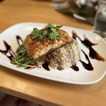 Malai Kitchen - Salmon Special - Vietnamese Near Me - Southlake, Texas Malai Kitchen - Salmon Special - Vietnamese Near Me - Southlake, Texas