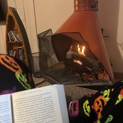 Greer Point Trails End Cabins - Reading by the fire