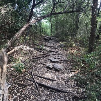 St Edward's Park - Hiking Near Me - Austin, Texas