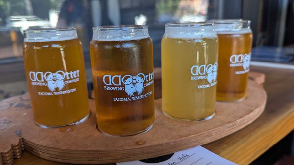 Odd Otter Brewing Company by null