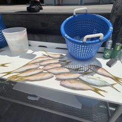 Salty Goat Fishing Charters