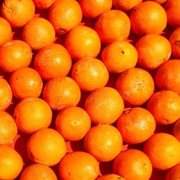 oranges oranges