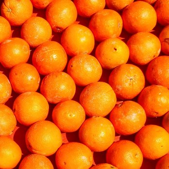 Florida Citrus Center Inc # 30 - oranges - Candy Stores Near Me - Ocala, Florida Florida Citrus Center Inc # 30 - oranges - Candy Stores Near Me - Ocala, Florida