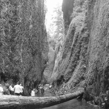 Oneonta Falls - Parks Near Me - Corbett, Oregon Oneonta Falls - Parks Near Me - Corbett, Oregon