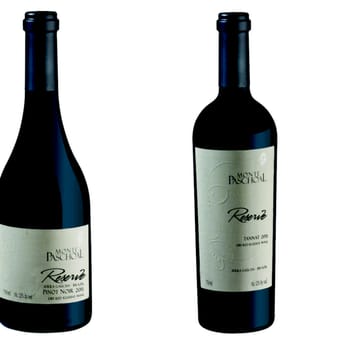 Aragoso Corp - Aragoso Corp imports Monte Paschoal Reserve Brazilian Wines in Tannat, Merlot, Cabernet Sauvignon and Pinot Noir varieties. - Beer, Wine & Spirits Near Me - Ashland, Massachusetts Aragoso Corp - Aragoso Corp imports Monte Paschoal Reserve Brazilian Wines in Tannat, Merlot, Cabernet Sauvignon and Pinot Noir varieties. - Beer, Wine & Spirits Near Me - Ashland, Massachusetts