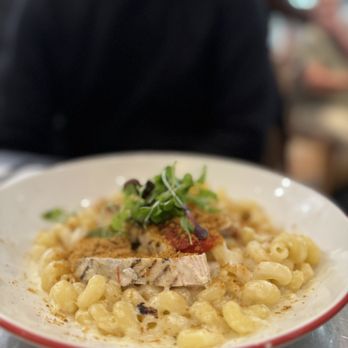 Vino Volo - Chicken Pasta before our flight to Lisbon - Wine Bars Near Me - Newark, New Jersey Vino Volo - Chicken Pasta before our flight to Lisbon - Wine Bars Near Me - Newark, New Jersey