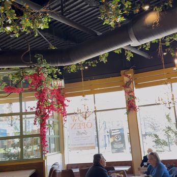 Sorelle - Inside - Italian Near Me - Glenview, Illinois