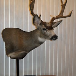 Cody's Taxidermy