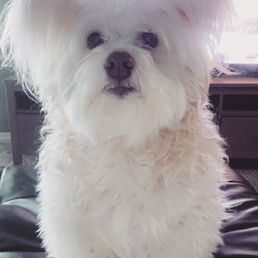 Needs a haircut! Needs a haircut!