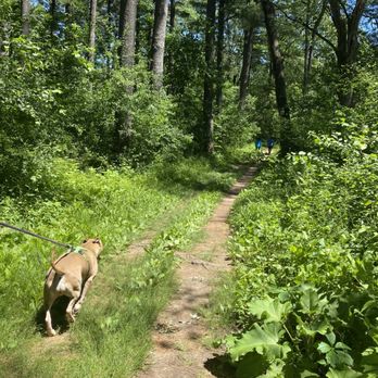 Kettle Moraine State Forest - Scuppernong trail - Parks Near Me - Eagle, Wisconsin