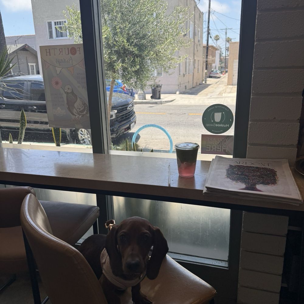 Alder & Sage - Coconut matcha cloud - Breakfast & Brunch Near Me - Long Beach, California