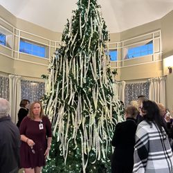 Community Hospice & Palliative Care