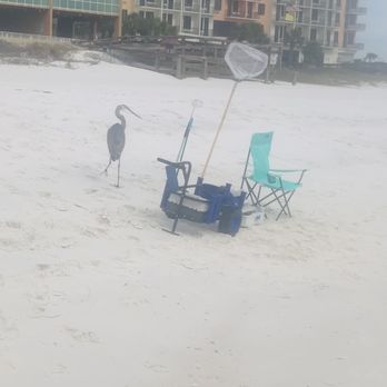 Orange Beach City - Beaches Near Me - Orange Beach, Alabama
