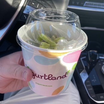 Yogurtland - Yum in a cup! - Ice Cream & Frozen Yogurt Near Me - Menifee, California