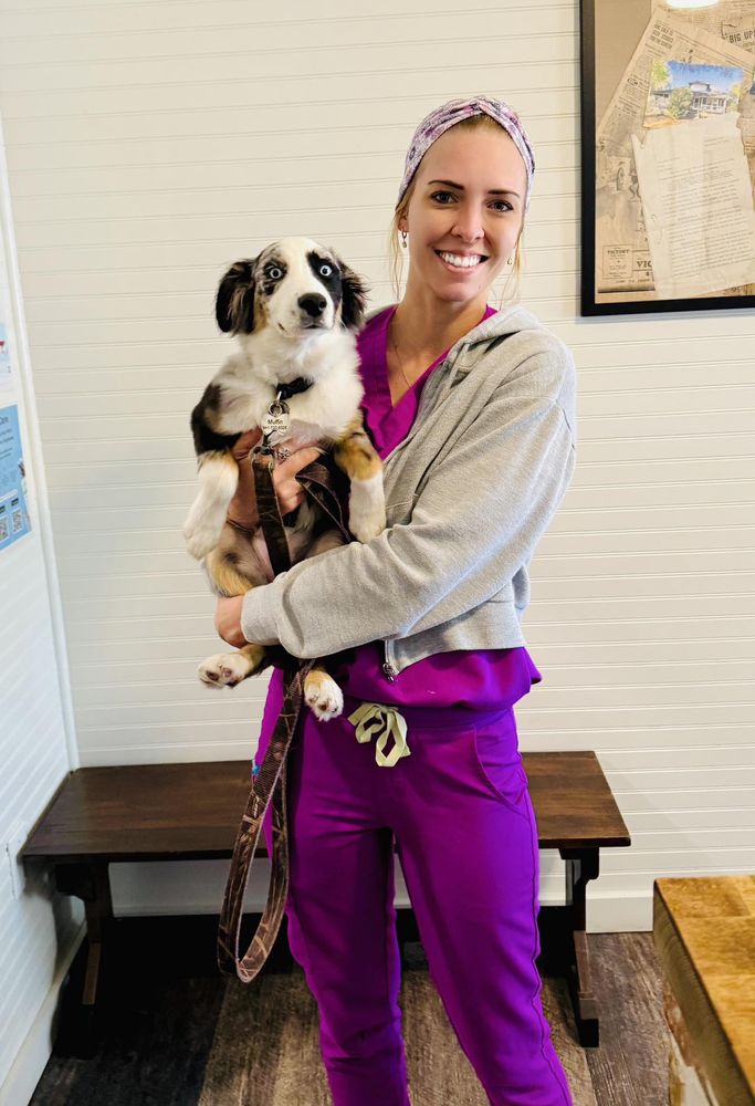 Parrish Veterinary Clinic Image