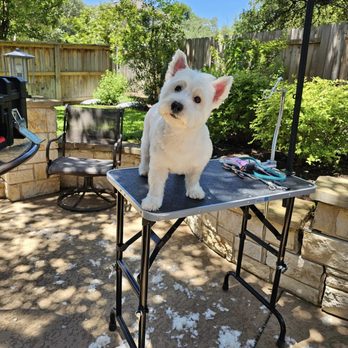 Maralyn's Pet Services - Pet Groomers Near Me