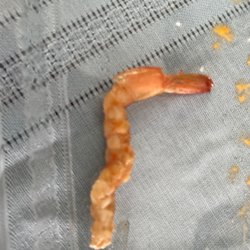 This is supposed to be the shrimp in the noodles . All pieces are like t is no interest in taking more